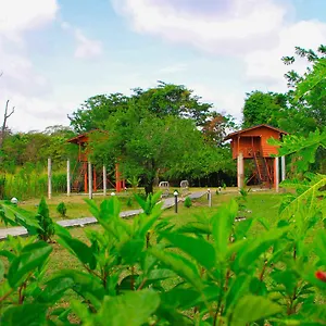 Sigiri Royal Point Tree House Hotel Sigiriya